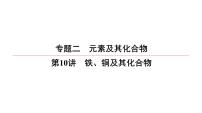 2022高中化学一轮专题复习电子稿课件  专题2  第10讲　铁、铜及其化合物