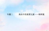 2022版高考化学一轮复习专题二第二节氯及其化合物课件新人教版