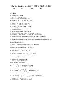 黑龙江省哈尔滨市2022届高三上学期10月月考化学试题（word版含答案）