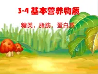 人教版 (新课标)必修2第四节 基本营养物质备课课件ppt