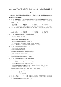 2020-2021学年广东省肇庆市高三（上）第一次统测化学试卷（一模）（含答案）