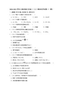 2020-2021学年上海市徐汇区高三（上）期末化学试卷（一模）