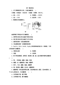 高中化学人教版 (2019)必修 第一册第一章 物质及其变化第一节 物质的分类及转化第1课时巩固练习