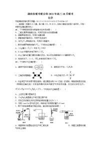 2022届湖南省名校联合体高三上学期10月联考化学试题（word版含有答案）