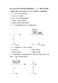 2021-2022学年山东省枣庄市薛城区高一（上）期中化学试卷