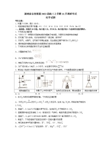 湖南省名校联盟2022届高三上学期11月调研考试化学试题 Word文档