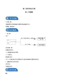 化学人教版 (2019)第三节 醛酮学案设计