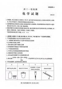 2022届山东省泰安市高三一轮检测（一模）化学试题含答案