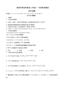 2022届山东省济南外国语学校高三上学期11月月考化学试题含答案