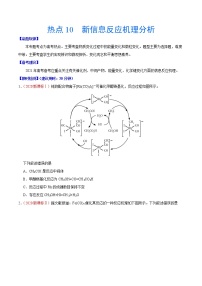 热点10 新信息反应机理分析- 高考化学专练【热点·重点·难点】