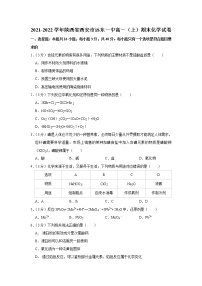 2021-2022学年陕西省西安市远东一中高一（上）期末化学试卷