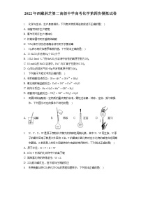 2022年西藏林芝第二高级中学高考化学第四次模拟试卷（含答案解析）