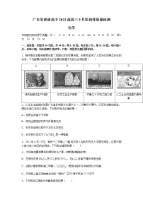 2022广东省普通高中高三上学期9月阶段性质量检测化学试题含答案