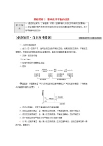 高中化学人教版 (2019)选择性必修1第二节 化学平衡导学案