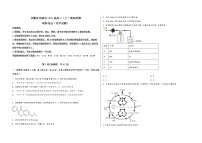 安徽省芜湖县2023届高三（上）摸底检测化学试题(word版，含答案)