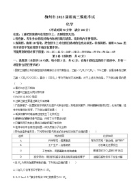 2023届广西柳州市新高三摸底考试化学试题含答案