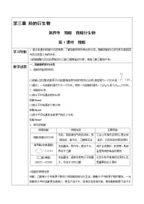 高中化学人教版 (2019)选择性必修3第四节 羧酸 羧酸衍生物第1课时导学案