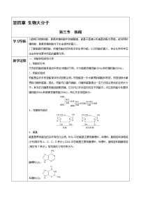 高中化学人教版 (2019)选择性必修3第三节 核酸学案设计