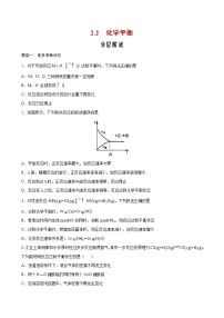 高中化学人教版 (2019)选择性必修1第二节 化学平衡精品课后复习题