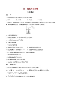 高中化学人教版 (2019)必修 第一册第一节 钠及其化合物精品同步测试题