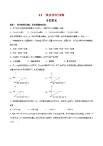 人教版 (2019)必修 第一册第一节 铁及其化合物精品综合训练题