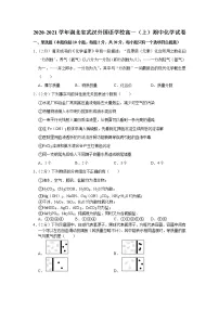 2020-2021学年湖北省武汉外国语学校高一(上)期中化学试卷
