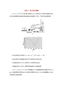 高考化学微专题小练习专练8离子综合推断含答案