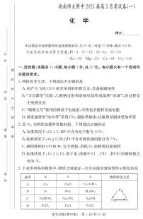 2023湖南师大附中高三上学期月考试卷（一）化学试题PDF版含答案