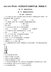 高中化学人教版 (2019)必修 第一册第一节 物质的分类及转化达标测试