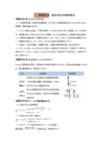 易错点06 铁及其化合物-备战2023年高考化学考试易错题