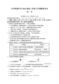 2023东莞东华高级中学高三上学期模拟考试化学试题含答案