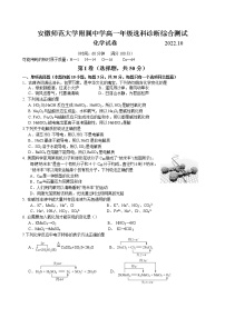 2023安徽师大附中高一上学期10月选科诊断测试化学试题含答案