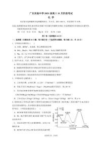 2021广东实验中学高三上学期11月份阶段测试化学PDF版含答案
