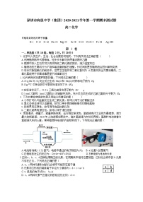 2021深圳高级中学高二上学期期末考试化学试卷含答案