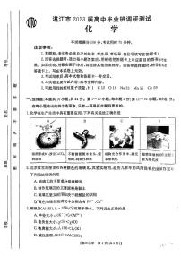 2023湛江高三上学期10月调研测试化学试题扫描版含解析