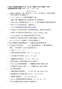 广东省广州市番禺区洛城中学2022-2023学年高一化学上学期第一次月考(含答案)