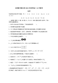 2023长沙一中等名校联考联合体高三上学期11月联考化学试卷含答案