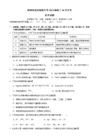 广东省深圳市盐田高级中学2022-2023学年高三10月月考化学试题