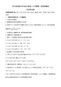 2023辽宁省实验中学高三上学期第一阶段测试卷化学含答案