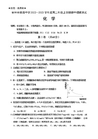 2023高二上学期期中化学含解析