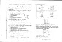2023唐山十县一中高二上学期11月期中考试化学PDF版含答案