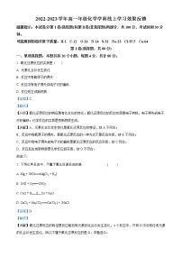 2023天津西青区杨柳青一中高一上学期线上学习效果反馈化学试题含解析