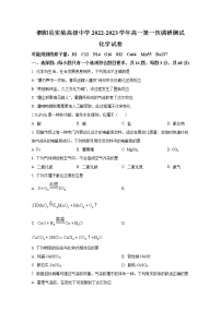 江苏省宿迁市泗阳县实验高级中学2022-2023学年高一化学上学期第一次调研试题（Word版附解析）