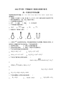 浙江省温州十校联合体2022-2023学年高一化学上学期期中联考试题（Word版附答案）