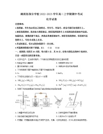 湖南省部分学校2022-2023学年高二上学期期中考试化学试卷（解析版）