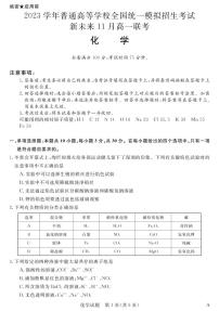 河南省新未来2023届高一11月联考化学试题（PDF版附解析）