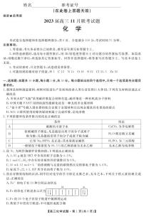 2023湖南省天一大联考高三上学期11月考试化学试题可编辑PDF版含答案