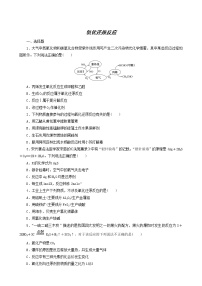 人教版高考化学一轮复习课时作业5氧化还原反应含答案