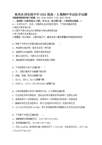 湖南株洲市攸县长鸿实验中学2022-2023学年高一上学期期中考试化学试题（含答案）