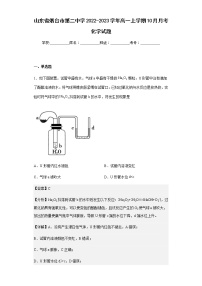 2022-2023学年山东省烟台市第二中学高一上学期10月月考化学试题含解析